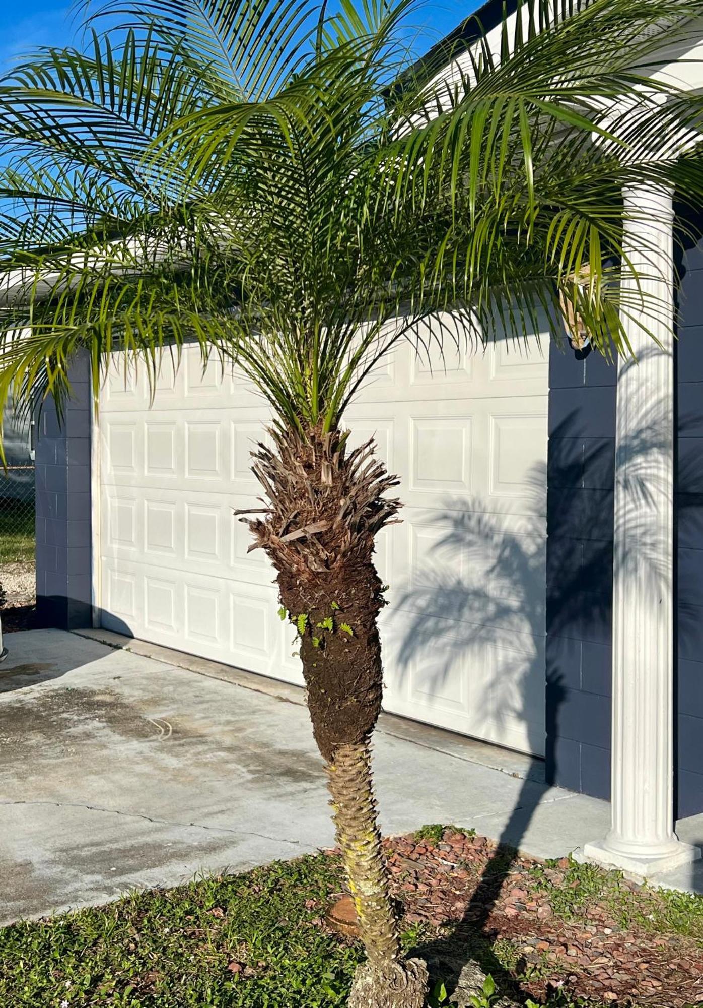 Pool House Oasis Titusville Exterior photo
